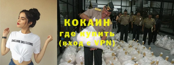 дживик Абинск