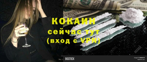 дживик Абинск