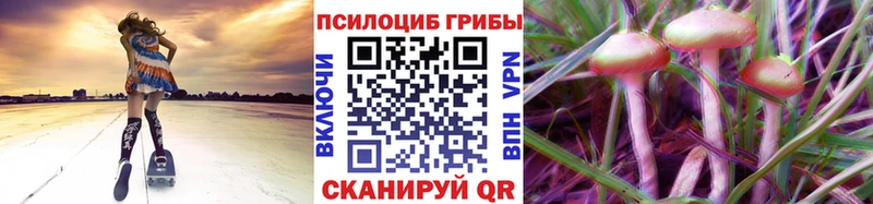 Псилоцибиновые грибы прущие грибы  Карачев 